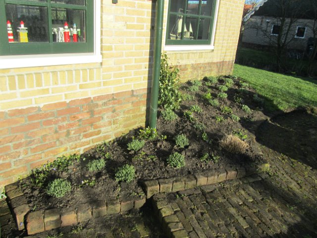 IMG_1995.JPG - Nieuwe aanplant voortuin