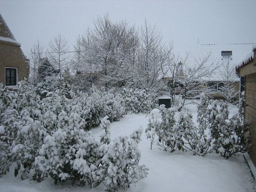 741.JPG - Kerst 2009