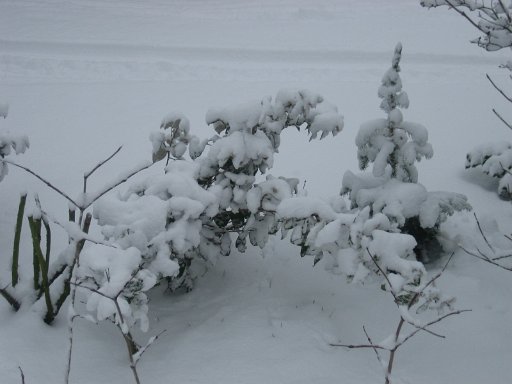 749.JPG - Kerst 2009