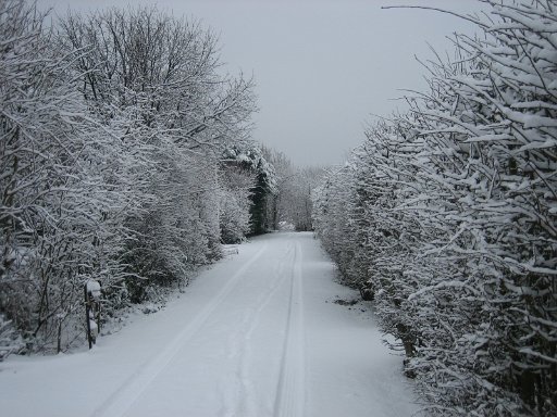 752.JPG - Kerst 2009