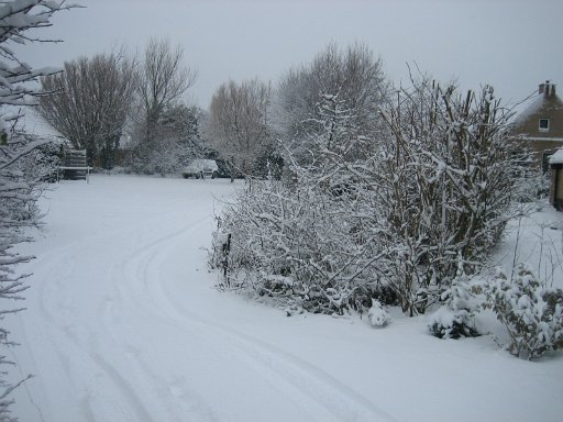 754.JPG - Kerst 2009