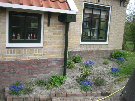 991.JPG